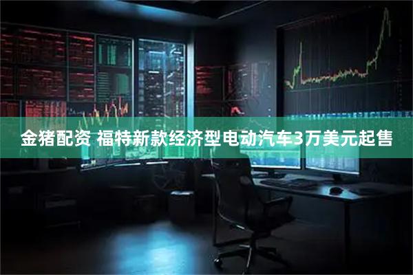 金猪配资 福特新款经济型电动汽车3万美元起售