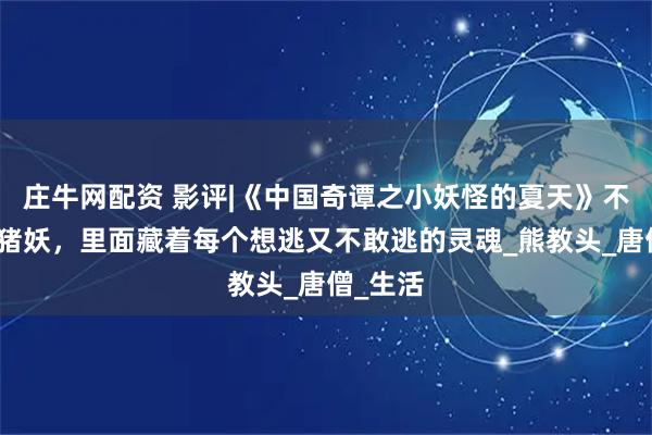 庄牛网配资 影评|《中国奇谭之小妖怪的夏天》不止是小猪妖，里面藏着每个想逃又不敢逃的灵魂_熊教头_唐僧_生活