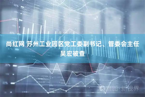 尚红网 苏州工业园区党工委副书记、管委会主任吴宏被查