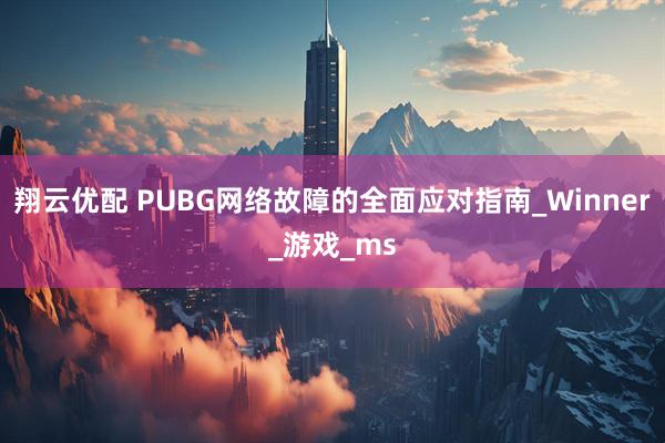 翔云优配 PUBG网络故障的全面应对指南_Winner_游戏_ms